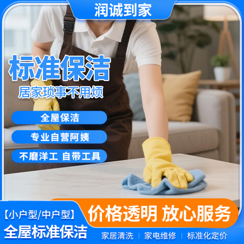 标准保洁（地面、厨房、浴室、台面擦拭等）